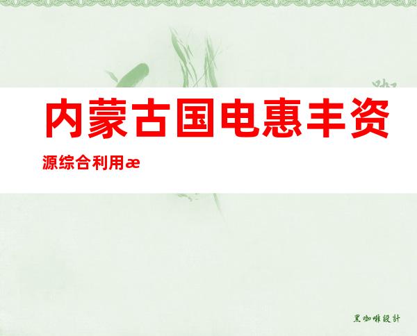 内蒙古国电惠丰资源综合利用有限公司